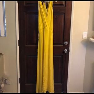 Mason by Michelle Mason Silk Maxi Dress